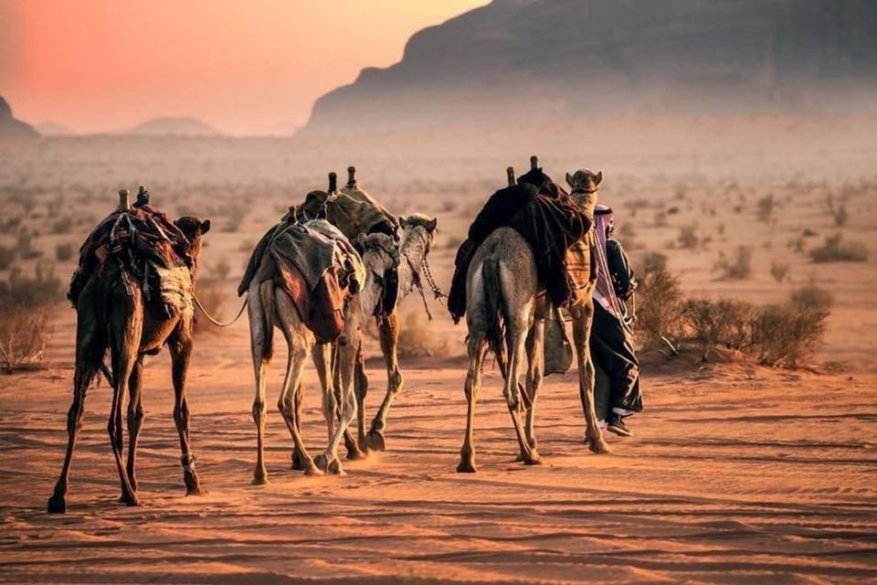 Tamim Luxury Wadi Rum Camp Dış mekan fotoğraf