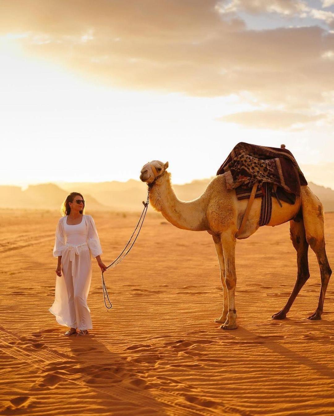 Tamim Luxury Wadi Rum Camp Dış mekan fotoğraf