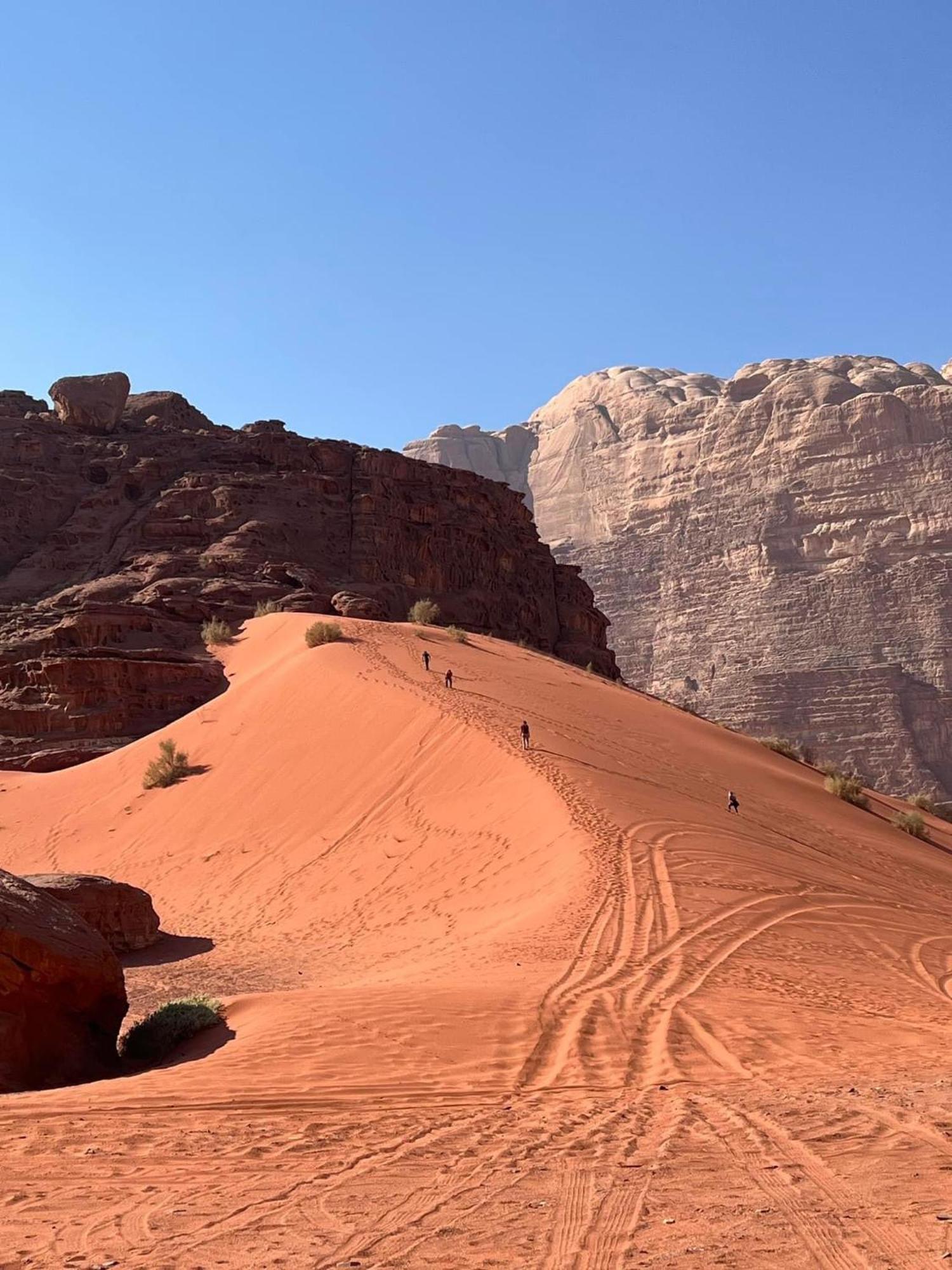 Tamim Luxury Wadi Rum Camp Dış mekan fotoğraf